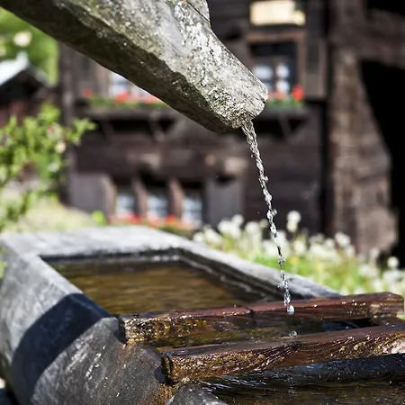 Augusta 贝拉尔普