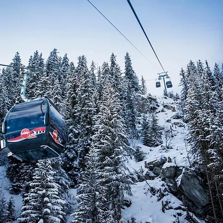 Augusta 贝拉尔普