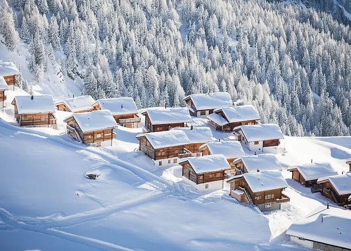 Augusta * Belalp