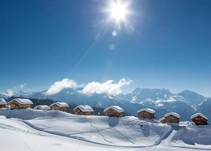 Augusta * Belalp