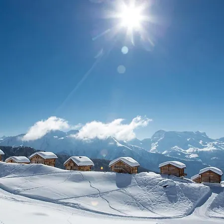 Augusta * Belalp